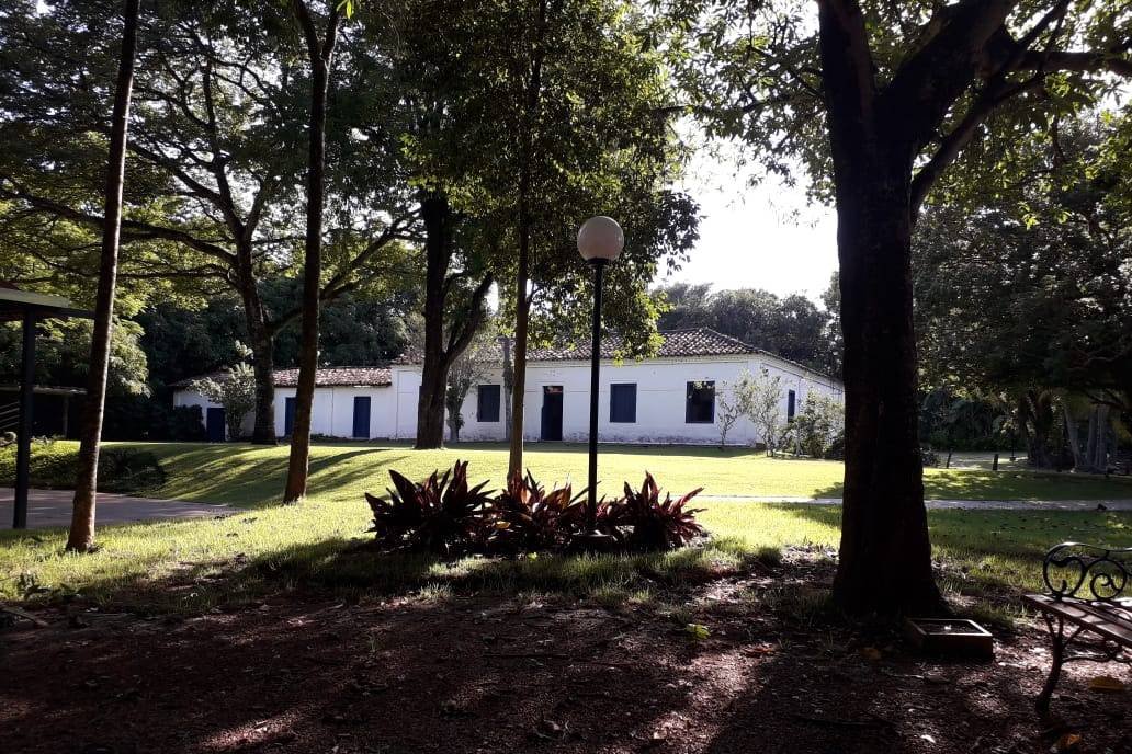 A casa vista por entre os troncos das árvores do gramado